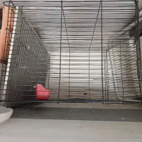 قفس پرنده