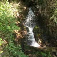 فروش باغ بهترین مکان