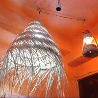 لوستر پیشی بزرگ و کوچک یا لوستر ریش دار