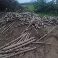 خرید فروش چوب