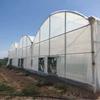 فروش گلخانه اسپانیایی