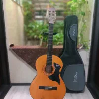 گیتار پارسی