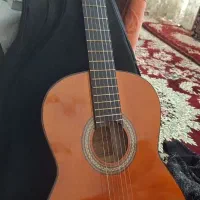 گیتار دایموند