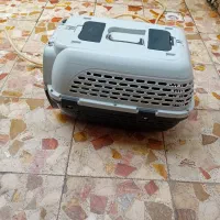 لانه سک|سگ|رشت, جماران|دیوار