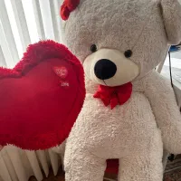 خرس بزرگ ولنتاین|اسباب‌‌بازی|تهران, پونک|دیوار