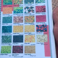 جذب بازاریاب خانم و اقا