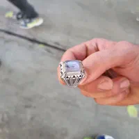 انگشتر شجر تک درخت