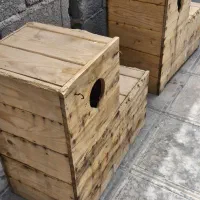 لانه پرنده و قفس،  کاسکو.  شاه طوطی