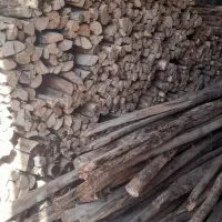 هیزم آتش دورهمی