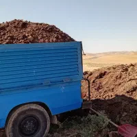 کود حیوانی یک ساله(گوسفند)