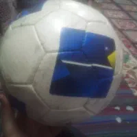 مولتن اصلی