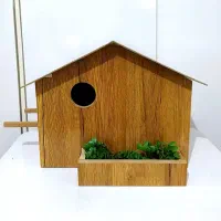 لانه پرنده طوطی عروس هلندی