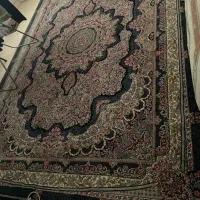 فرش مرکز فقط ۹ متری|فرش|نیشابور, هفده شهریور|دیوار