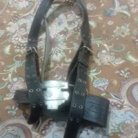 هیکلی علامت کشی