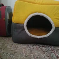 کیف حمل و جای خواب گربه