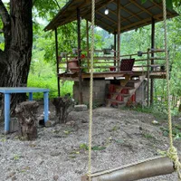 اجاره ی ویلای استخردار سرپوشیده وآب گرم درماسال|اجارهٔ کوتاه‌مدت ویلا و باغ|ماسال, |دیوار