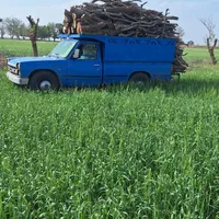 چوب کنده ریشه درخت حرص خریدار با بالا ترین قمیت|خدمات باغبانی و درختکاری|نیشابور, خیام|دیوار