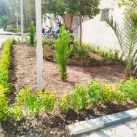 خدمات باغبانی سیار گل کاری سم پاشی تعویض خاک گلدان