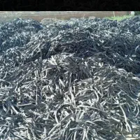 خریدار تیپ. شما. قیمت انبار سرزمین|خدمات باغبانی و درختکاری|نصر آباد, |دیوار