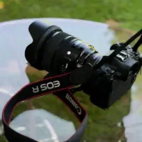 نیازمند همکار خانم جوان