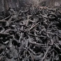 زغال کبابی  میوه ای