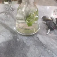 کارگر ساده