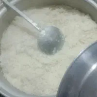 برنج زهگا گشنگ هستن