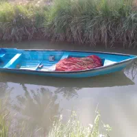 قایق شبوط