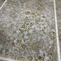 فرش ۱۲۰۰ شانه