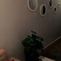 سویت مبله تو منطقه ابوطالب موسی قوچانی