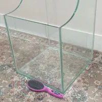 آکواریوم  ۵۰۰ تومن