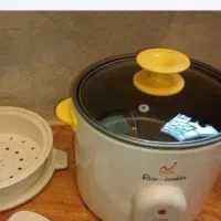 پلوپز و بخار پز مایسان ۶نفره|اجاق گاز و لوازم برقی پختوپز|همدان, |دیوار