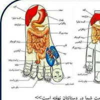 فیزیوتراپی و سم زدایی بدن با دستگاه   جزینک