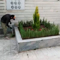 خدمات باغبانی باغچه هرس سراسر تهران باغبانی حرفه ا|خدمات باغبانی و درختکاری|تهران, جردن|دیوار