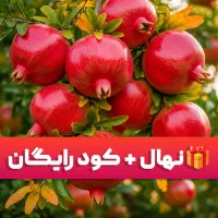 نهال شناسنامه‌دار با کود و نهال هدیه رایگان
