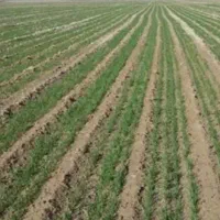 فروش زمین فوری