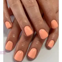 کاشت ناخن تخفیف ۱۹۸تومن بالاک‌ سه سال سابقه