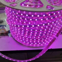 ریسه شلنگی RGB