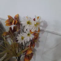 چند عدد گل|گل مصنوعی|نیشابور, مازول|دیوار