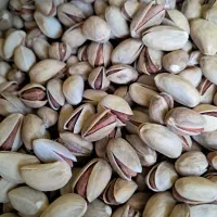 پسته|خوردنی و آشامیدنی|قم, نخودی|دیوار