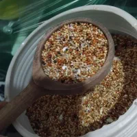 مکمل و دان پرنده طوطی مرغ عشق عروس ملنگو