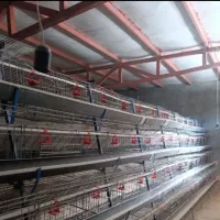 قفس تخمگذار