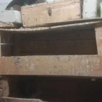 جفت دم سفید درج یک