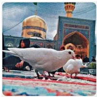 تور مشهد هوایی و زمینی ریلی * کیش و قشم