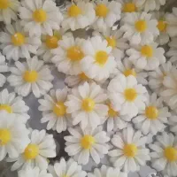 بابونه|صنایع دستی و سایر لوازم تزئینی|شاهین‌شهر, الهیه|دیوار