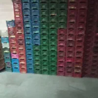 سبد ۴ کیلویی