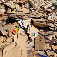 خرید ظایعات