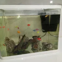 آکواریوم خم