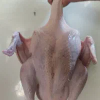 گوشت بوقلمون