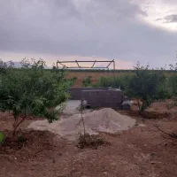 باغ|فروش زمین و ملک کلنگی|تیران, |دیوار